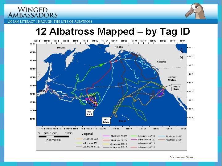 12 Albatross Mapped – by Tag ID 