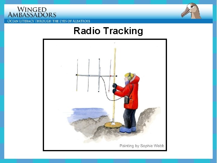 Radio Tracking 