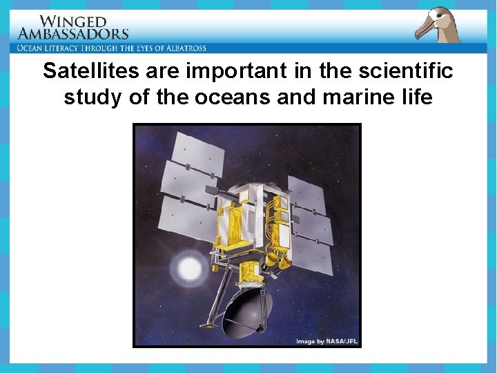 Satellites are important in the scientific study of the oceans and marine life 