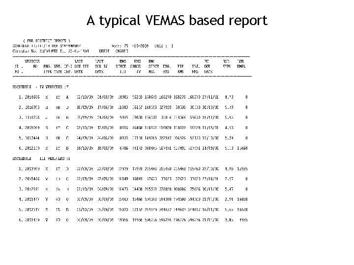 A typical VEMAS based report 