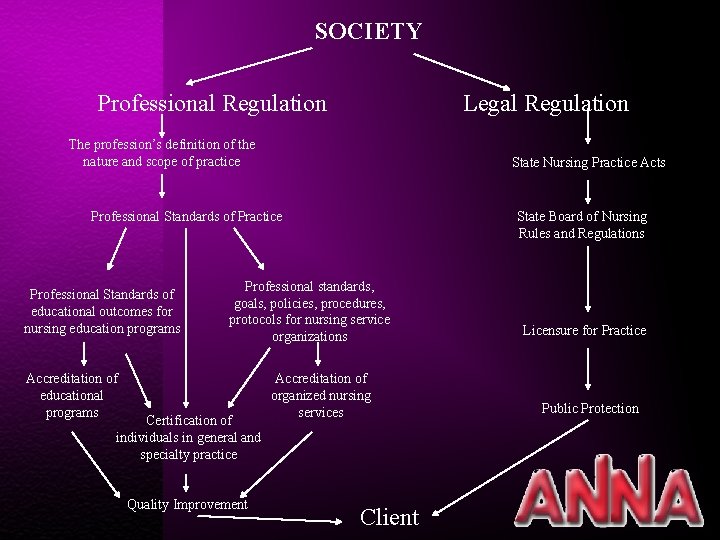 SOCIETY Professional Regulation Legal Regulation The profession’s definition of the nature and scope of
