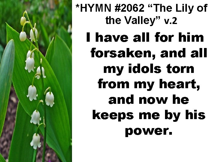 *HYMN #2062 “The Lily of the Valley” v. 2 I have all for him