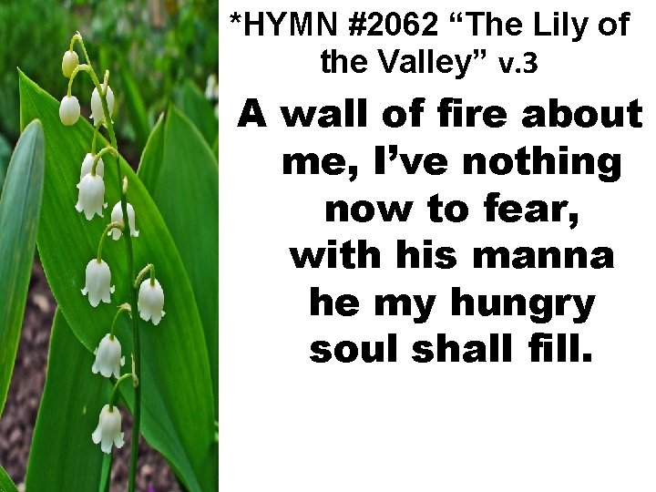 *HYMN #2062 “The Lily of the Valley” v. 3 A wall of fire about