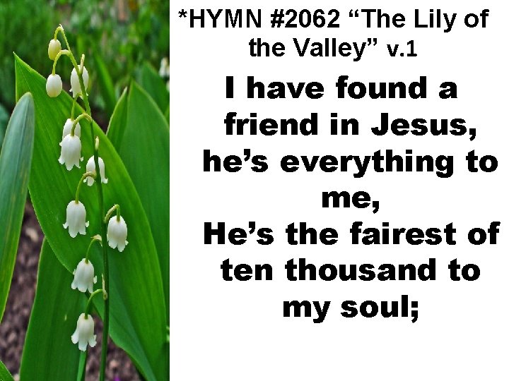 *HYMN #2062 “The Lily of the Valley” v. 1 I have found a friend
