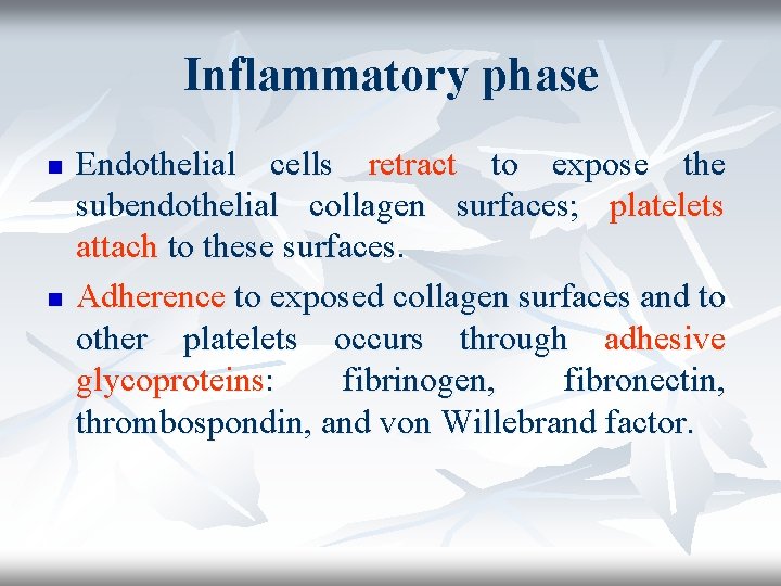 Inflammatory phase n n Endothelial cells retract to expose the subendothelial collagen surfaces; platelets