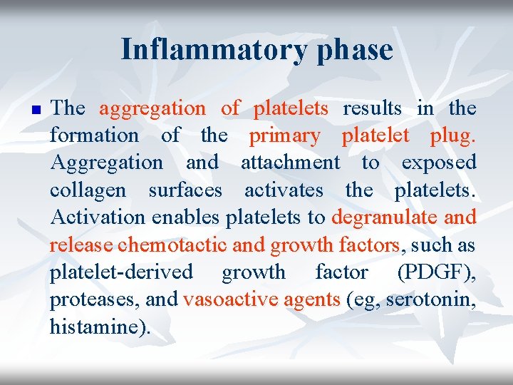 Inflammatory phase n The aggregation of platelets results in the formation of the primary