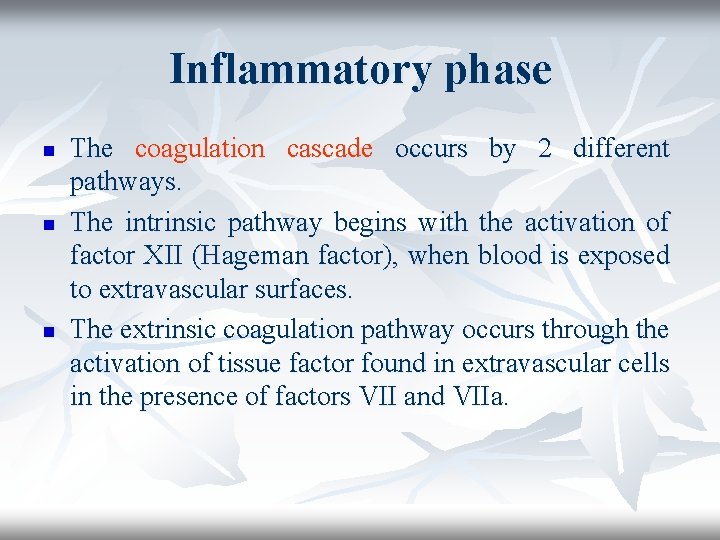 Inflammatory phase n n n The coagulation cascade occurs by 2 different pathways. The