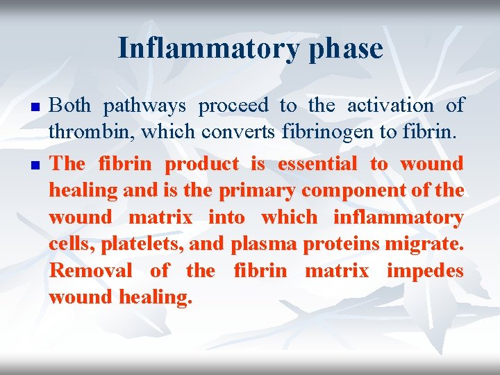 Inflammatory phase n n Both pathways proceed to the activation of thrombin, which converts