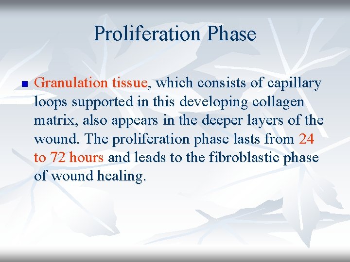 Proliferation Phase n Granulation tissue, which consists of capillary loops supported in this developing