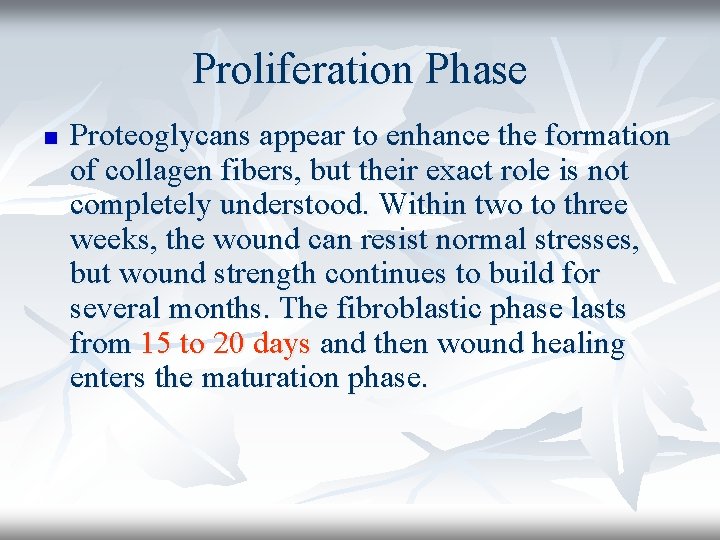 Proliferation Phase n Proteoglycans appear to enhance the formation of collagen fibers, but their