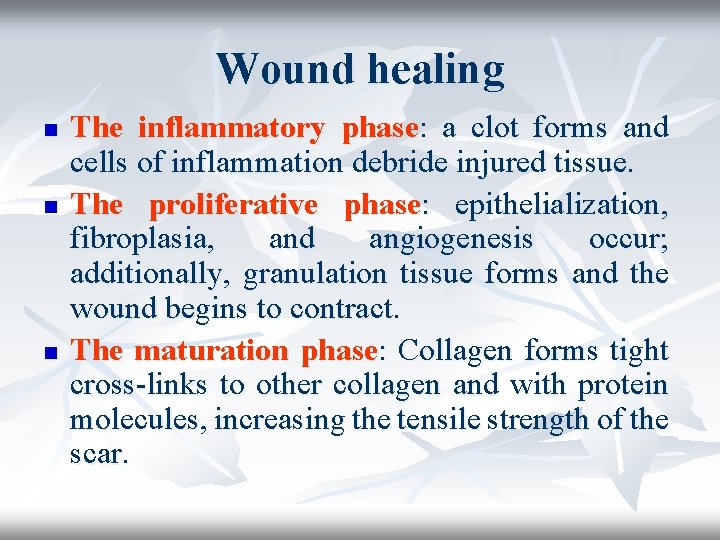 Wound healing n n n The inflammatory phase: a clot forms and cells of