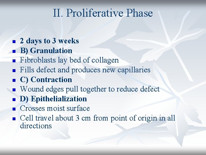 II. Proliferative Phase n n n n n 2 days to 3 weeks B)