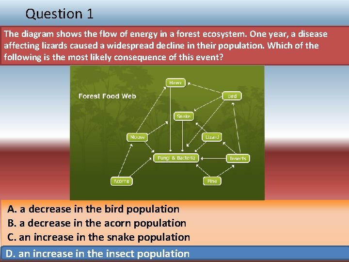 Question 1 The diagram shows the flow of energy in a forest ecosystem. One