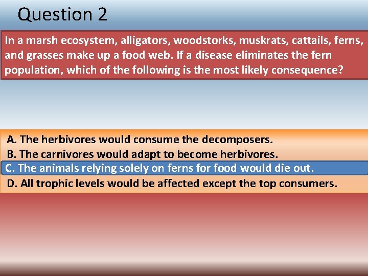 Question 2 In a marsh ecosystem, alligators, woodstorks, muskrats, cattails, ferns, and grasses make