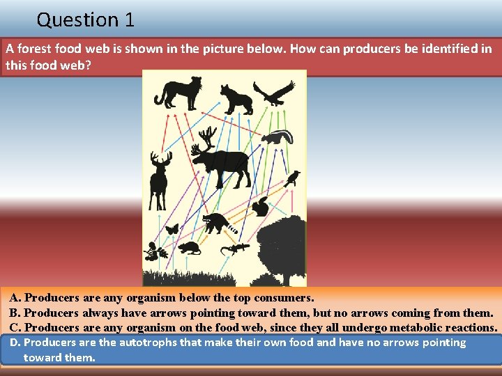 Question 1 A forest food web is shown in the picture below. How can