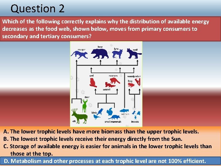 Question 2 Which of the following correctly explains why the distribution of available energy