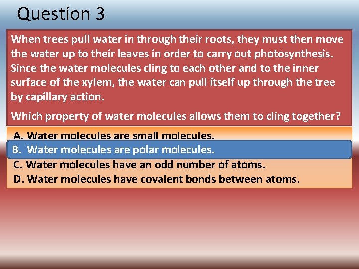 Question 3 When trees pull water in through their roots, they must then move