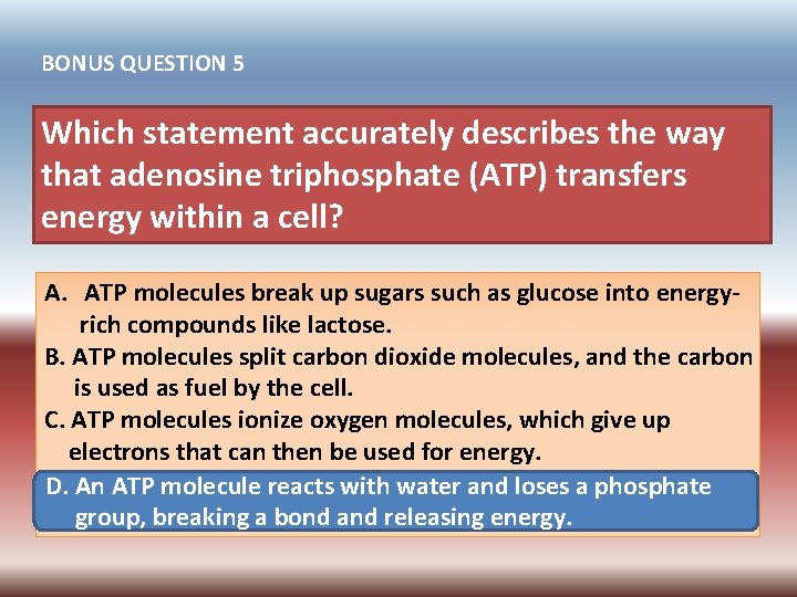BONUS QUESTION 5 Which statement accurately describes the way that adenosine triphosphate (ATP) transfers