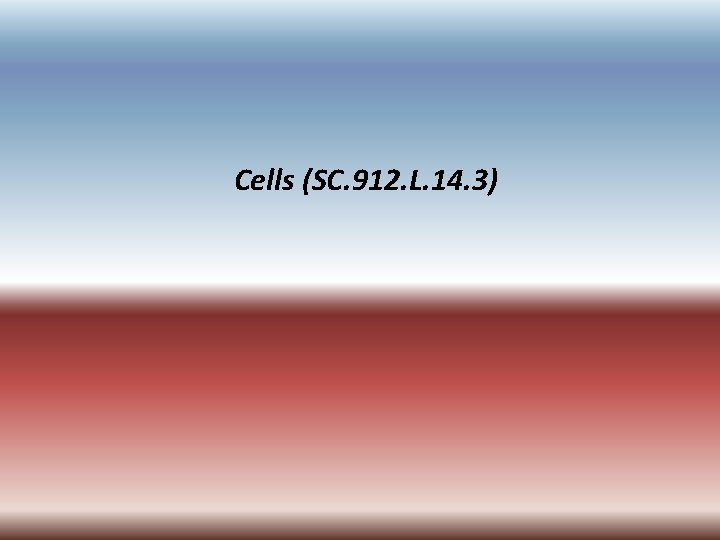 Cells (SC. 912. L. 14. 3) 