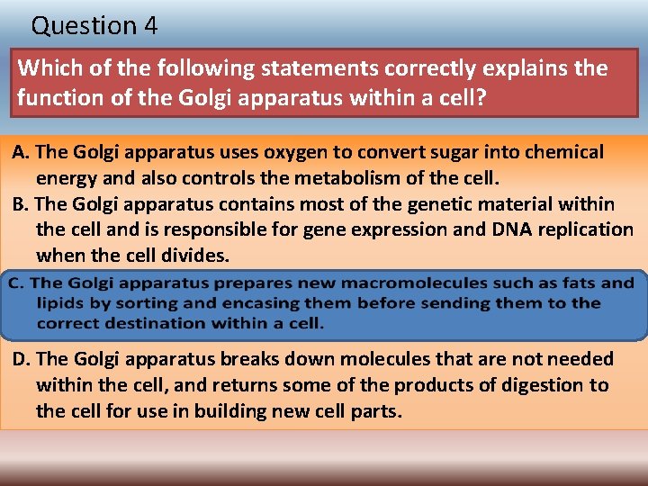 Question 4 Which of the following statements correctly explains the function of the Golgi