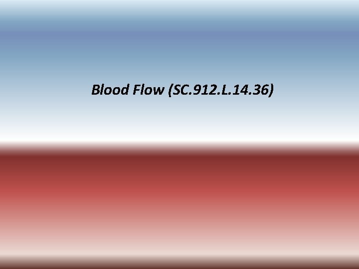Blood Flow (SC. 912. L. 14. 36) 
