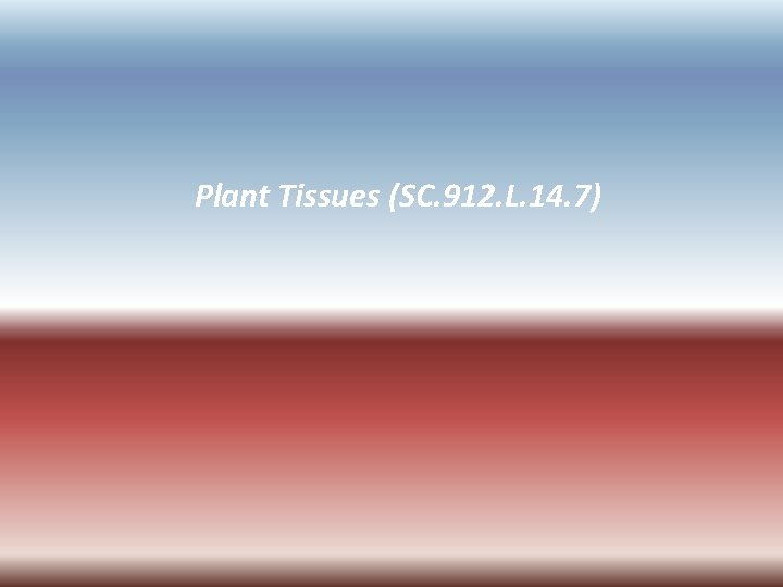 Plant Tissues (SC. 912. L. 14. 7) 