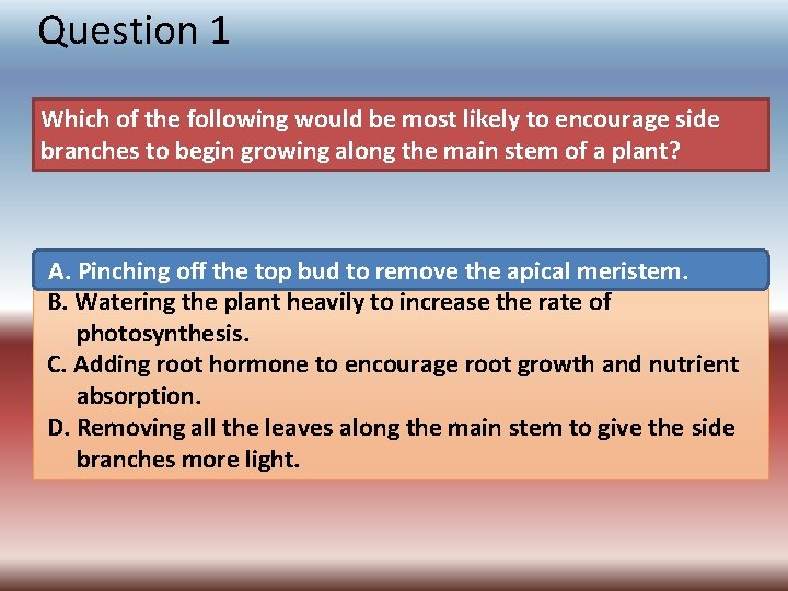 Question 1 Which of the following would be most likely to encourage side branches