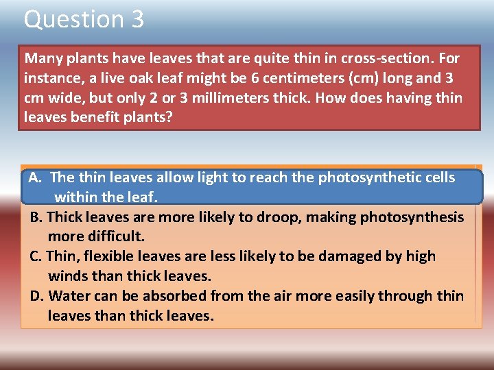 Question 3 Many plants have leaves that are quite thin in cross-section. For instance,