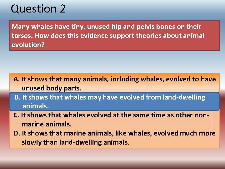 Question 2 Many whales have tiny, unused hip and pelvis bones on their torsos.