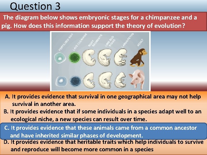 Question 3 The diagram below shows embryonic stages for a chimpanzee and a pig.