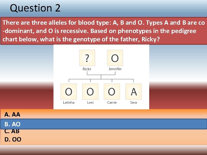 Question 2 There are three alleles for blood type: A, B and O. Types