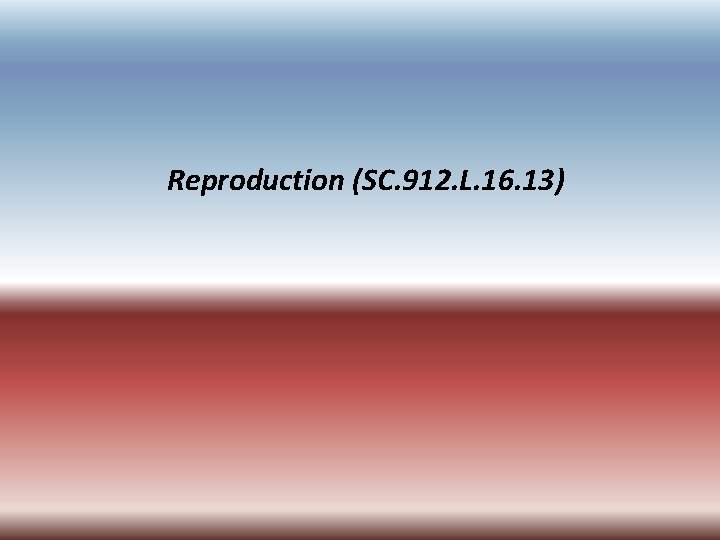 Reproduction (SC. 912. L. 16. 13) 