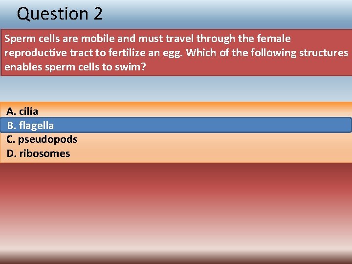 Question 2 Sperm cells are mobile and must travel through the female reproductive tract