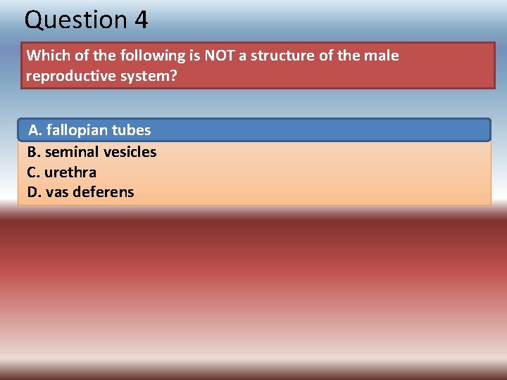 Question 4 Which of the following is NOT a structure of the male reproductive
