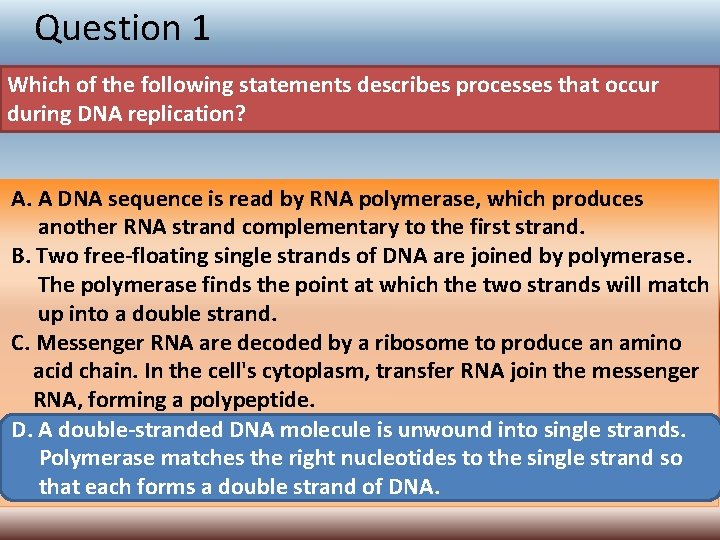 Question 1 Which of the following statements describes processes that occur during DNA replication?