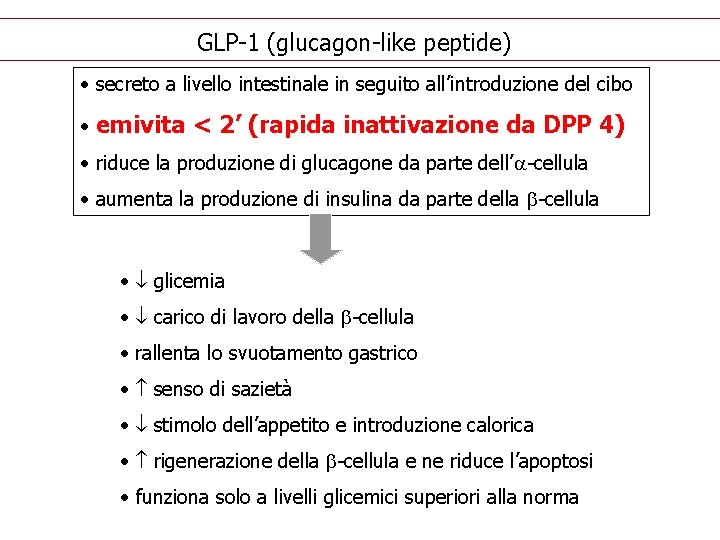 GLP-1 (glucagon-like peptide) • secreto a livello intestinale in seguito all’introduzione del cibo •