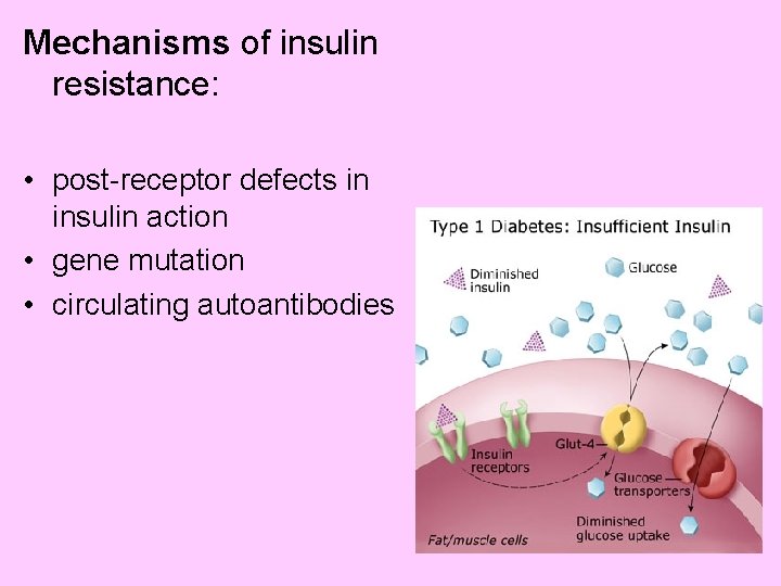 Mechanisms of insulin resistance: • post-receptor defects in insulin action • gene mutation •