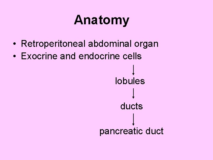 Anatomy • Retroperitoneal abdominal organ • Exocrine and endocrine cells lobules ducts pancreatic duct