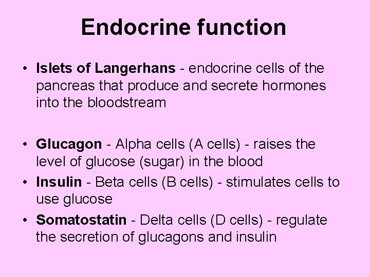 Endocrine function • Islets of Langerhans - endocrine cells of the pancreas that produce