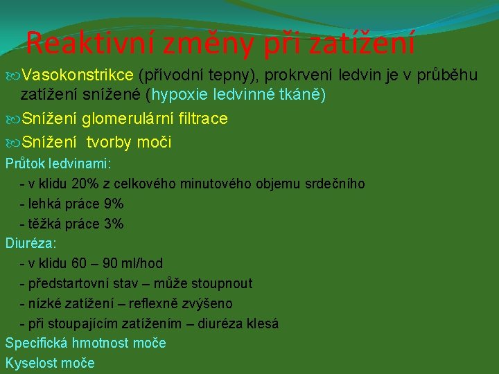 Reaktivní změny při zatížení Vasokonstrikce (přívodní tepny), prokrvení ledvin je v průběhu zatížení snížené