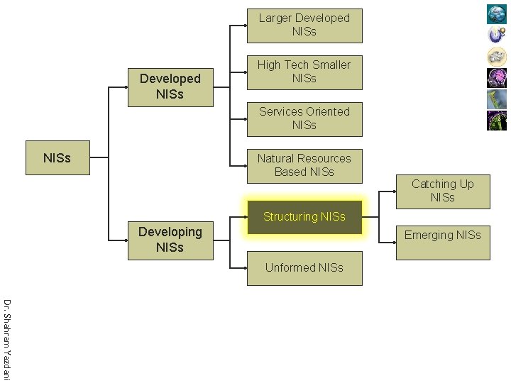 Larger Developed NISs High Tech Smaller NISs Services Oriented NISs Natural Resources Based NISs