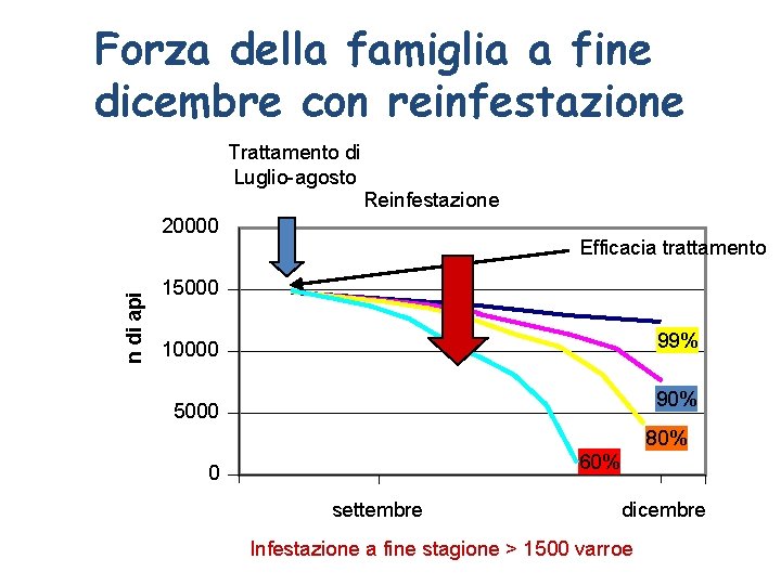 Forza della famiglia a fine dicembre con reinfestazione Trattamento di Luglio-agosto Reinfestazione n di