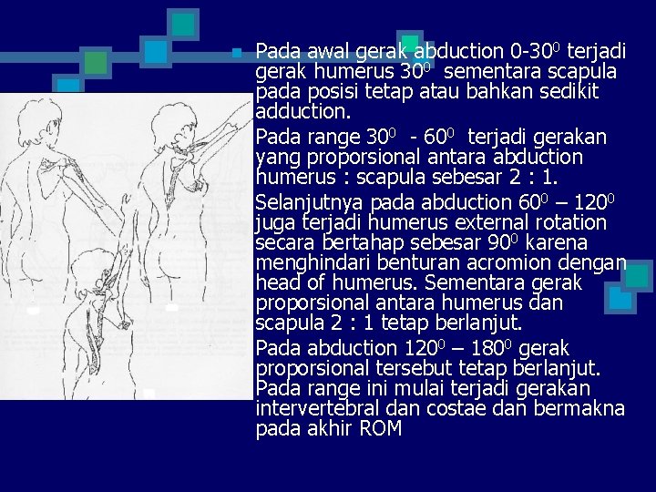 n n Pada awal gerak abduction 0 -300 terjadi gerak humerus 300 sementara scapula