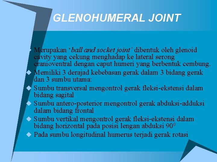 GLENOHUMERAL JOINT u Merupakan ‘ball and socket joint’ dibentuk oleh glenoid cavity yang cekung