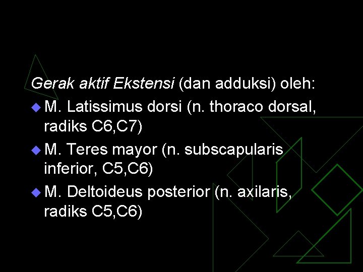 Gerak aktif Ekstensi (dan adduksi) oleh: u M. Latissimus dorsi (n. thoraco dorsal, radiks