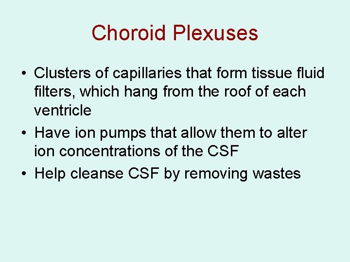 Choroid Plexuses • Clusters of capillaries that form tissue fluid filters, which hang from