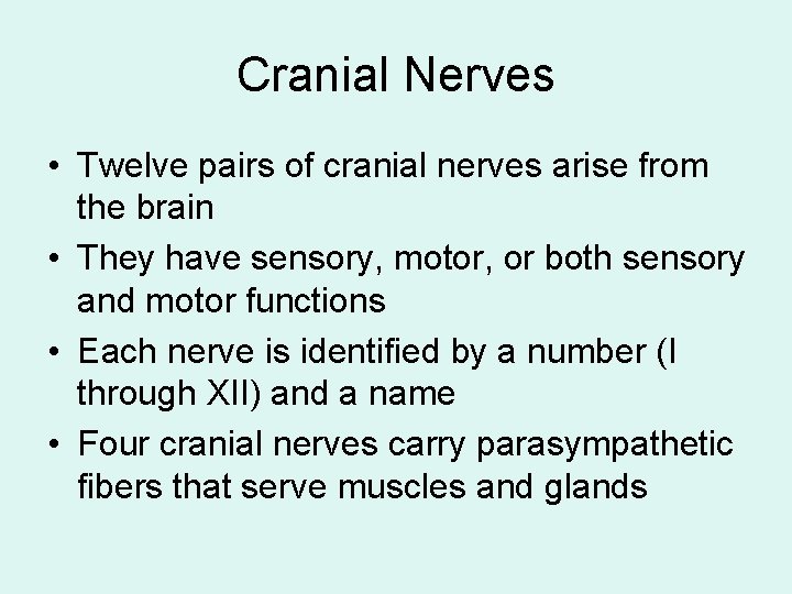 Cranial Nerves • Twelve pairs of cranial nerves arise from the brain • They