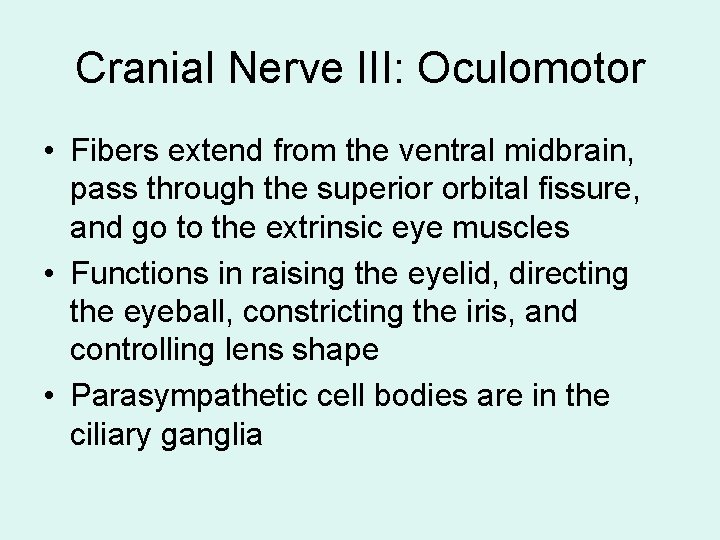 Cranial Nerve III: Oculomotor • Fibers extend from the ventral midbrain, pass through the