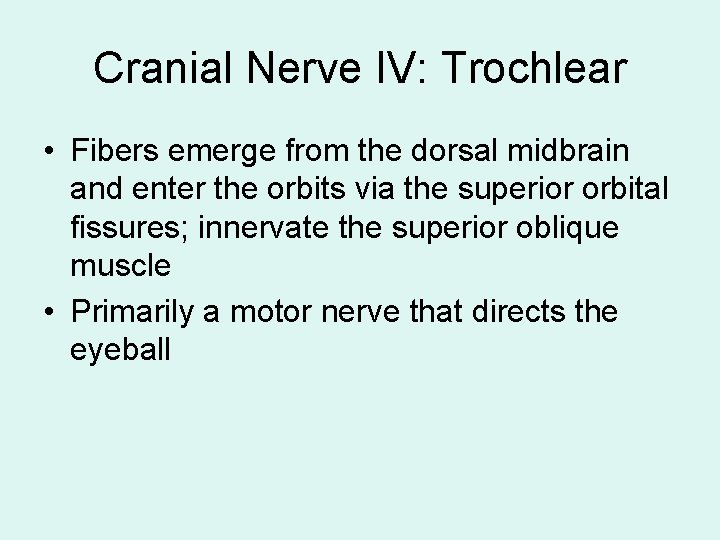 Cranial Nerve IV: Trochlear • Fibers emerge from the dorsal midbrain and enter the