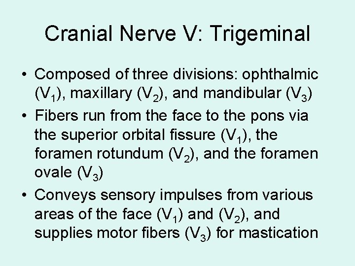 Cranial Nerve V: Trigeminal • Composed of three divisions: ophthalmic (V 1), maxillary (V